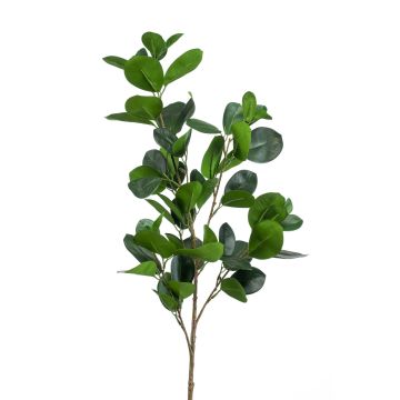 Umělá větev Ficus Panda BANDE, zelená, 90cm