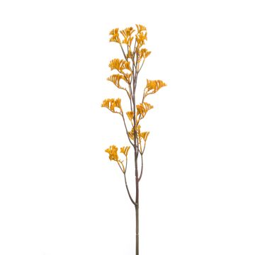 Umělá klokaní květina EIRADO, žlutá, 95cm