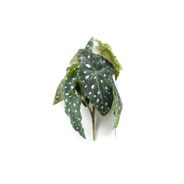Umělý pstruh Begonia JOELLE vyrobený z hůlky, zeleno-bílý, 30cm