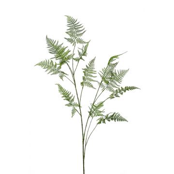 Umělá větev Asparagus plumosus FAYNA, 135 cm
