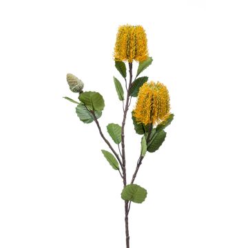 Umělá květina Banksia CONAKIR, žlutá, 70cm