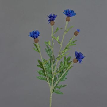 Umělá chrpa ORTIGO, modrá, 60cm