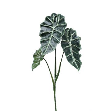 Plastová alokázie sanderiana MATHEA, zápich, zelenobílá, 70cm