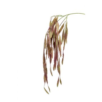 Umělá větev Rhipsalis EHUD, hnědá-fialová, 80cm