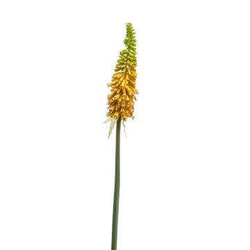 Umělá lilie MUNDAKA, žlutá, 85cm