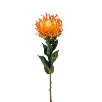 Umělá květina Protea HERVAS, oranžová, 70cm