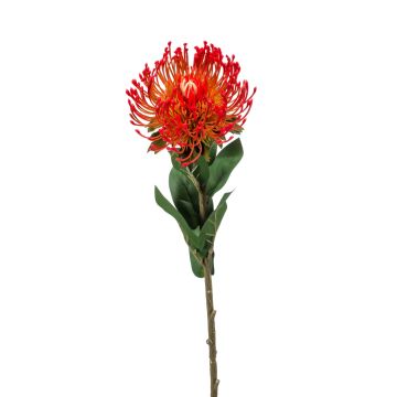 Umělá květina Protea HERVAS, červená, 70cm