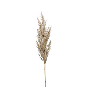 Umělá větev pampy trávy lata BATERNO, krémová, 90cm