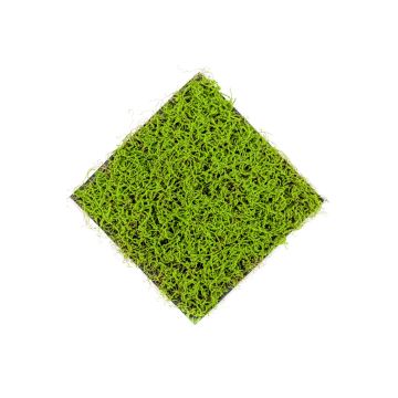 Umělý travní koberec sítiny NOGALES, zelený, 50x50cm