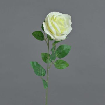 Umělá květina růže PEZOS, krémová, 60cm, Ø10cm