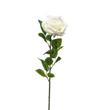 Umělá květina růže PEZOS, krémová, 60cm, Ø10cm