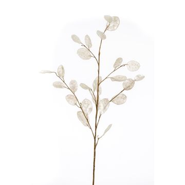 Umělá větev Lunaria BUELNA, krémová, 105cm