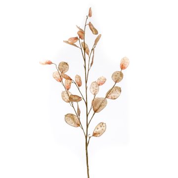 Umělá větev Lunaria BUELNA, světle hnědá, 105 cm