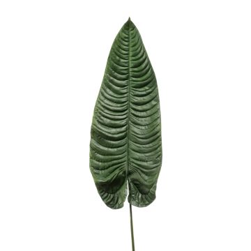 Umělý list Colocasia ABANTO, zelený, 105 cm
