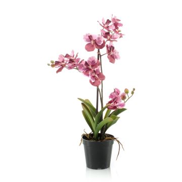 Umělá květina Vanda Orchid CAMPO, růžová, 60cm