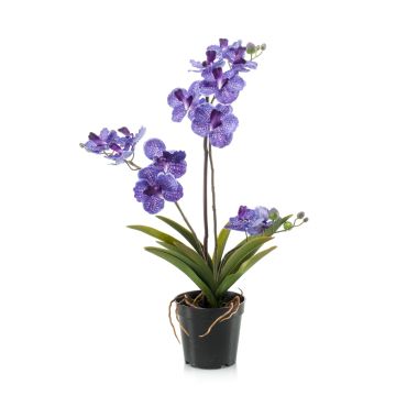 Umělá květina Vanda Orchid CAMPO, fialová, 60cm