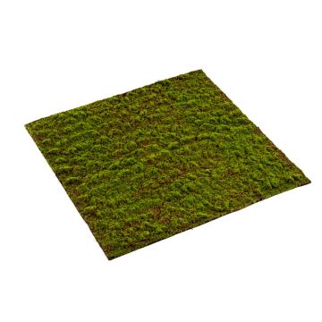Umělecká listnatá mechová rohož netkaná FERMIN, zelená, 100x100cm