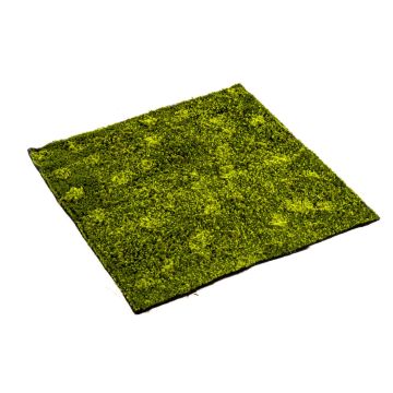 Umělá spací mechová podložka FERMIN, zelená, 100x100cm