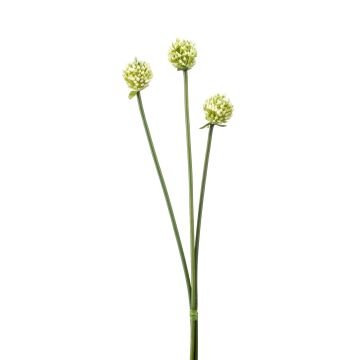 Umělý svazek květů allium cepa LAMDA, krémově zelený, 65cm