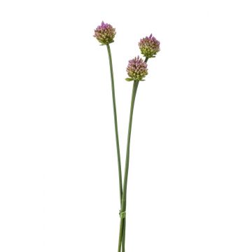 Umělý svazek květů allium cepa LAMDA, fialovo-zelený, 65cm