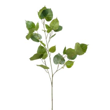 Umělá větev ficus religiosa ASCELLA s plody, zelená, 95cm