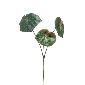 Umělá listová begonie ANTALINA, zelená, 65cm
