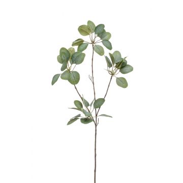 Umělý eukalptus KRISZTOFER, zelený, 90cm