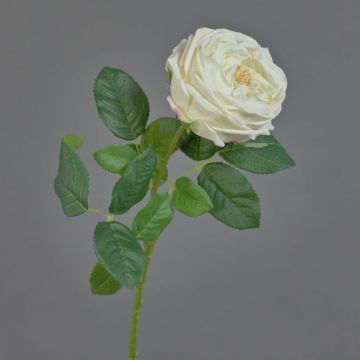 Textilní růže okrasného zelí CATINCA, krémová, 60cm