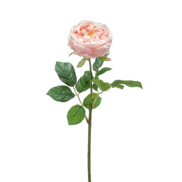Textilní růže okrasného zelí CATINCA, světle růžová, 60cm