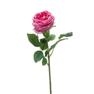 Textilní růže okrasného zelí CATINCA, růžová, 60cm