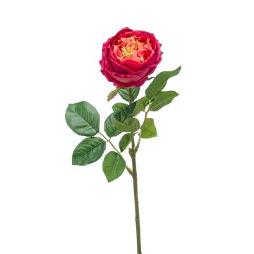 Textilní růže okrasného zelí CATINCA, růžová, 60cm
