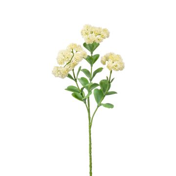 Umělý květ rozchodníku EUFRASIA, krémový, 55cm