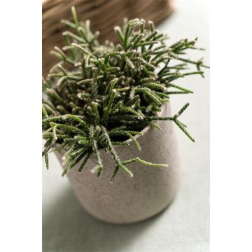 Květináč ARAYA, keramika, kropenatý, zelený, 13cm, Ø13cm