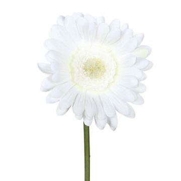 Umělá gerbera TUNZA, bílá, 50cm
