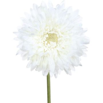 Umělá gerbera MOLZA, bílá, 60cm