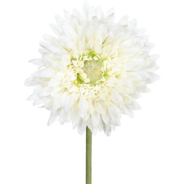 Umělý květ gerbery MOLZA, krémový, 60cm