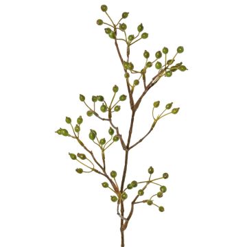 Dekorativní větvička psí růže HIKERNO se šípky, zelená, 60cm