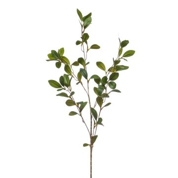 Dekorativní větvička řezanky LOVRIS s květy, zelenožlutá, 90cm