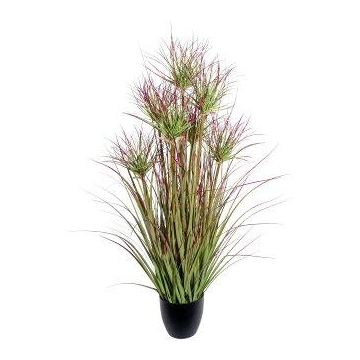 Dekorativní tráva papyrus DARSA v dekorativním květináči, zeleno-červená, 95cm