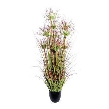 Dekorativní tráva papyrus DARSA v dekorativním květináči, zeleno-červená, 125cm
