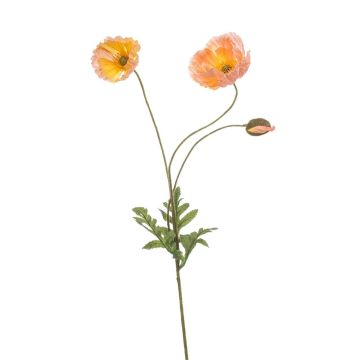 Dekorativní větvička máku SCHUNRA, broskvová, 75cm