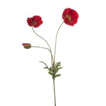 Dekorativní větvička máku SCHUNRA, červená, 75cm