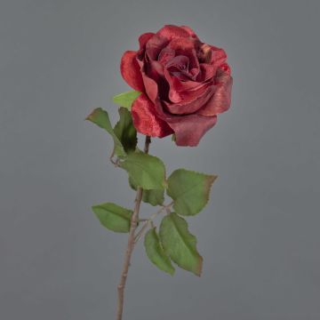 Sametová růže SINDALA, červená, 60cm, Ø12cm