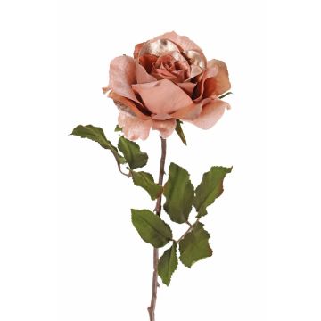 Sametová růže SINDALA, lososová, 60cm, Ø12cm
