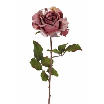 Sametová růže SINDALA, starorůžová, 60cm, Ø12cm