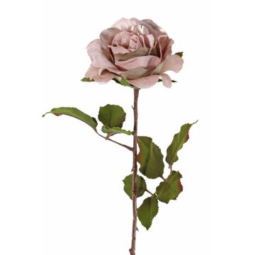 Sametová růže SINDALA, béžovo-růžová, 60cm, Ø12cm
