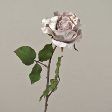 Sametová růže SINDALA, béžovo-růžová, 60cm, Ø12cm
