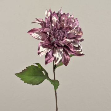 Sametová jiřinka MINBU, starorůžová, 60cm, Ø18cm