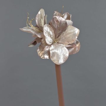 Sametový amarylis KIRSTY, béžovo-růžový, 70cm, Ø9cm