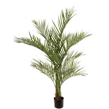 Umělá areková palma JUMBOLINO, 150cm